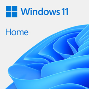 windows11home-digitalservices-windows