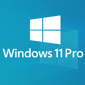 windows11pro-digitalservices-windows